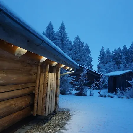 Holiday home Vogelkirsche Sankt Englmar