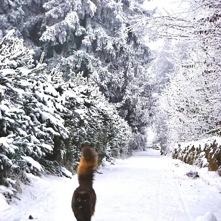 Casa vacanze Vogelkirsche Sankt Englmar