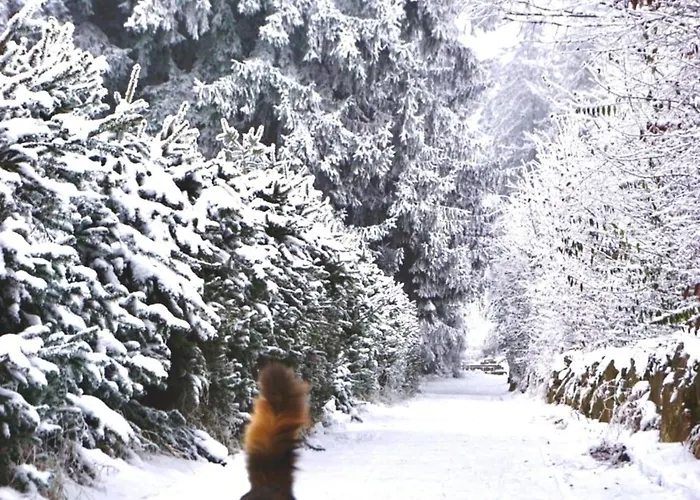 펜션 Vogelkirsche 상트엥글마